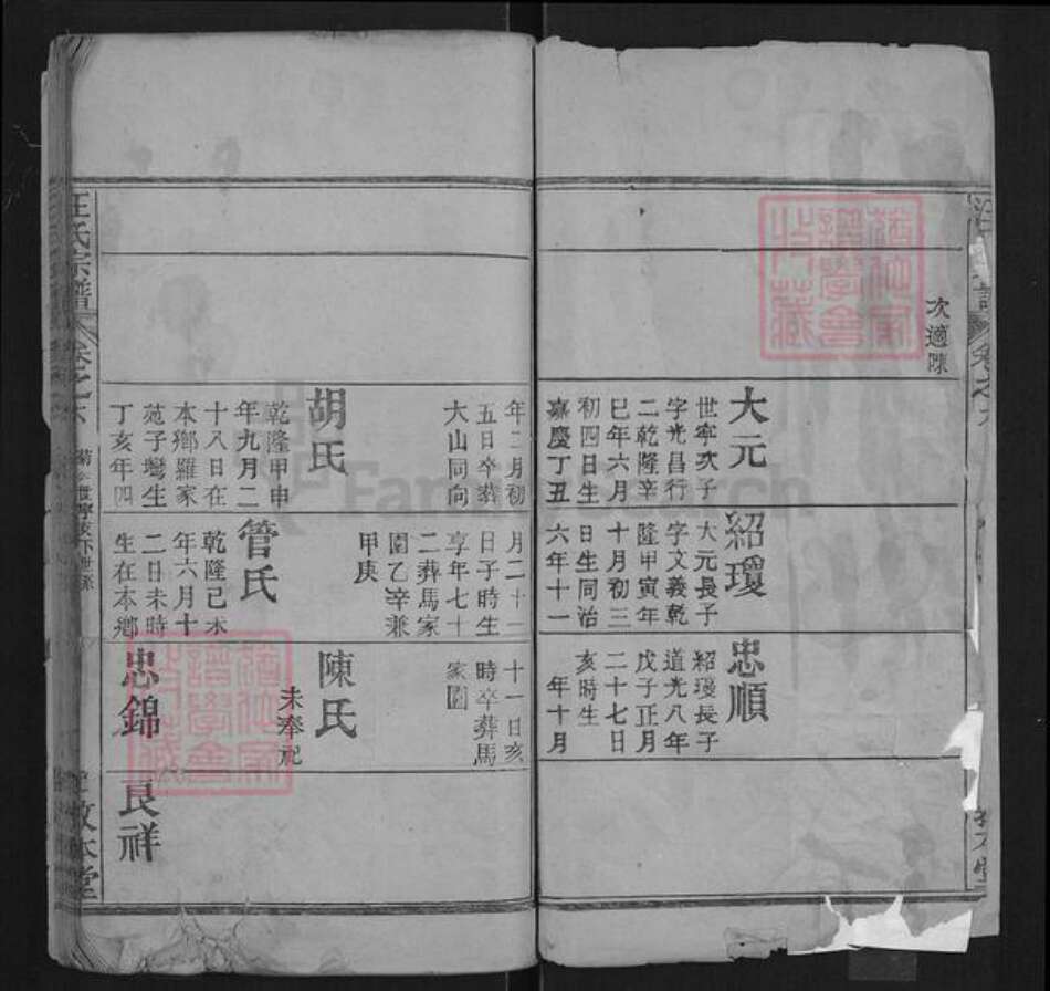 湖北省武汉市黄陂区汪氏敦本堂族谱-汪氏宗谱.pdf电子版预览图2