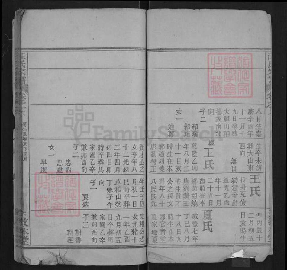 湖北省武汉市黄陂区汪氏敦本堂族谱-汪氏宗谱.pdf电子版预览图5