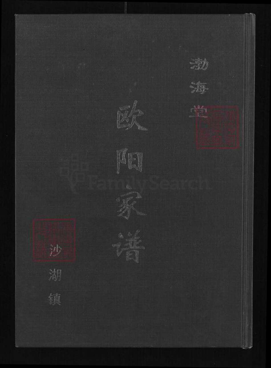 湖北省仙桃市沙湖镇欧阳氏渤海堂族谱-欧阳沙湖家谱.pdf电子版缩略图