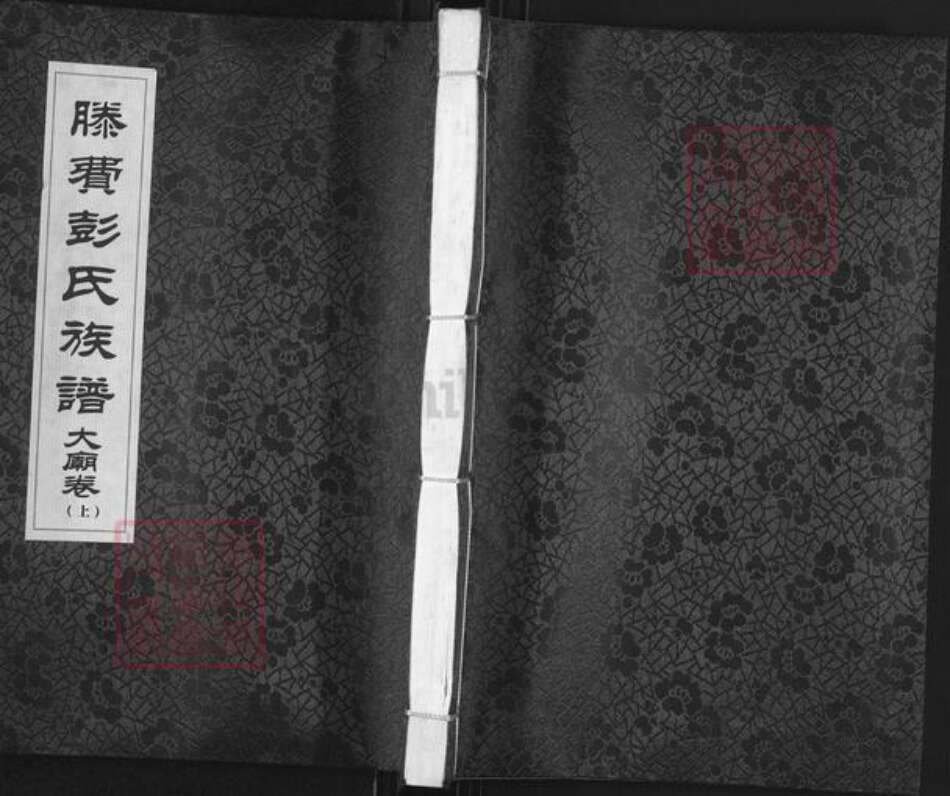 山东省枣庄市滕州市滕州彭氏族谱-滕费彭氏族谱.大庙卷.pdf电子版缩略图