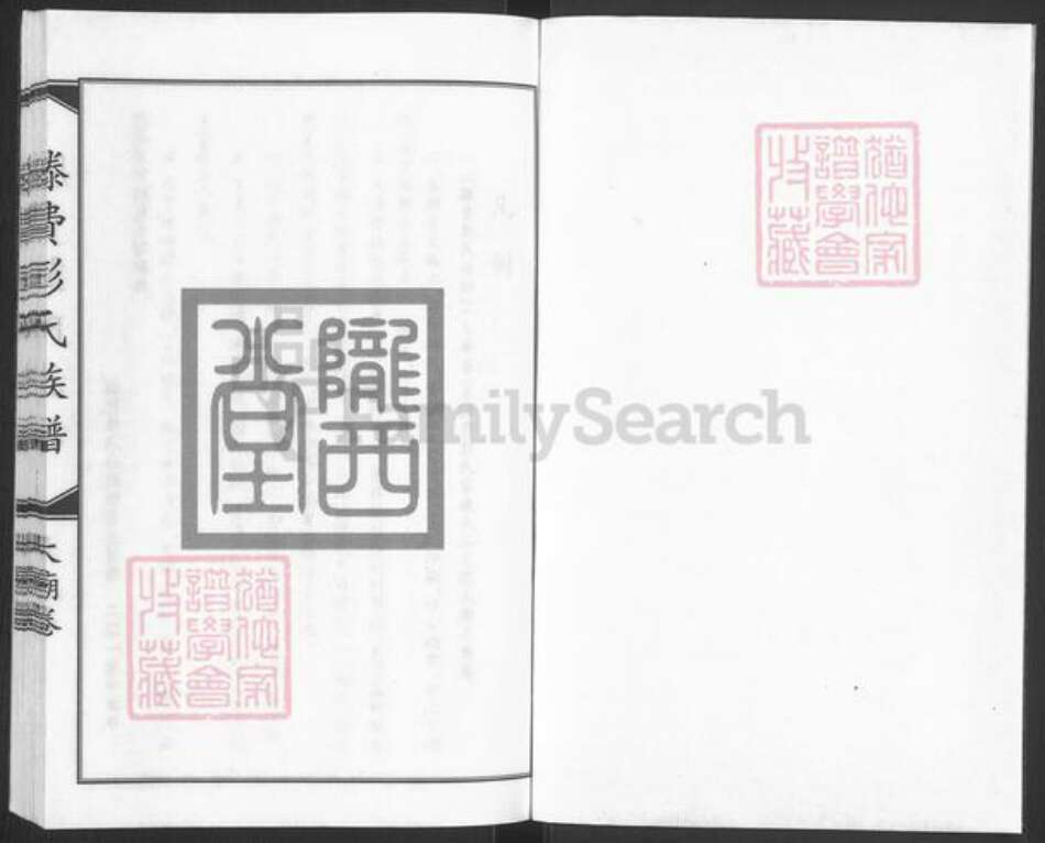 山东省枣庄市滕州市滕州彭氏族谱-滕费彭氏族谱.大庙卷.pdf电子版预览图1