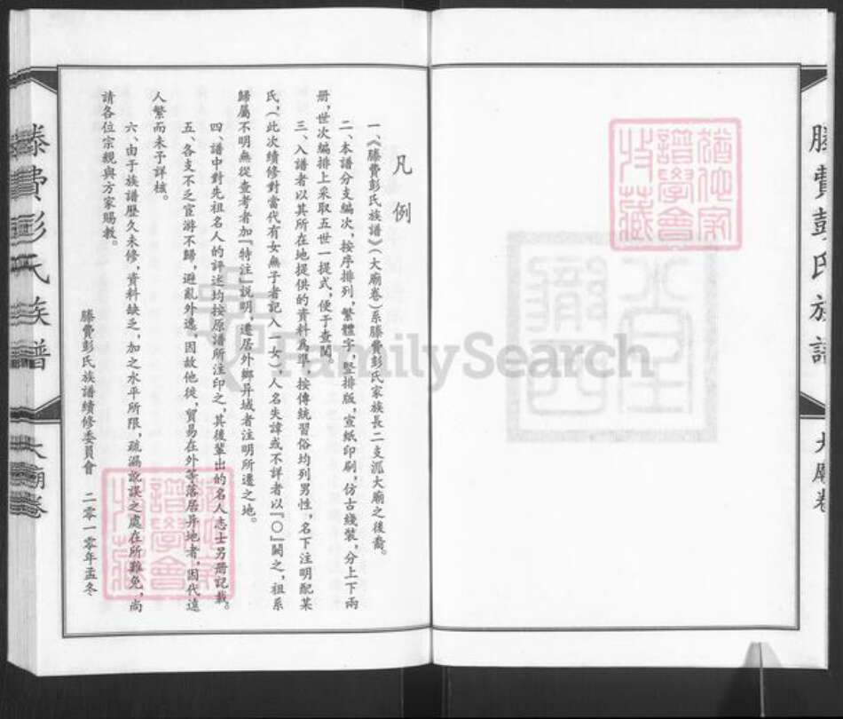 山东省枣庄市滕州市滕州彭氏族谱-滕费彭氏族谱.大庙卷.pdf电子版预览图2