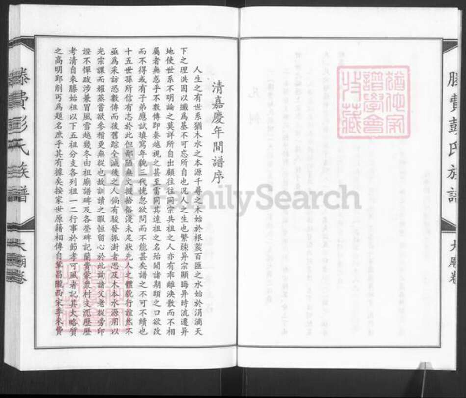 山东省枣庄市滕州市滕州彭氏族谱-滕费彭氏族谱.大庙卷.pdf电子版预览图3