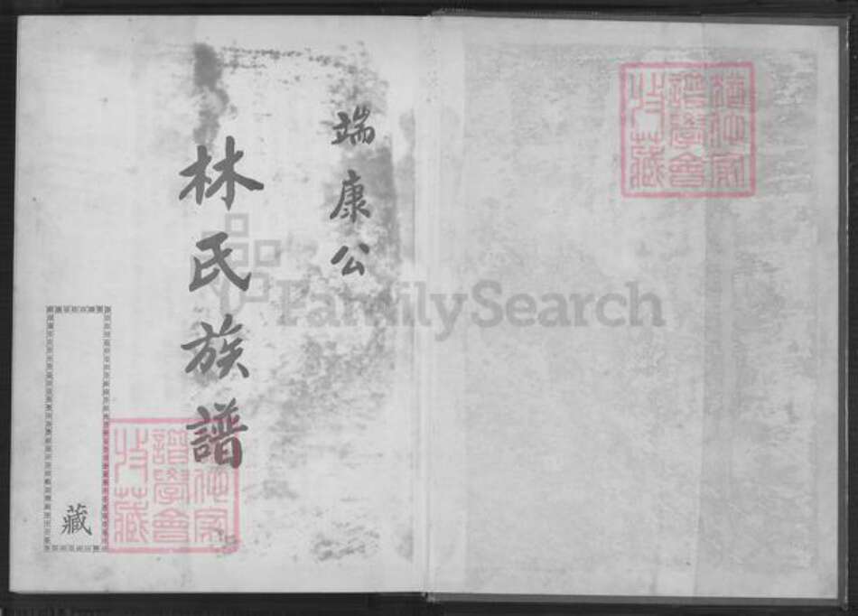 福建省漳州市南靖县林氏族谱-林氏族谱.pdf电子版预览图1