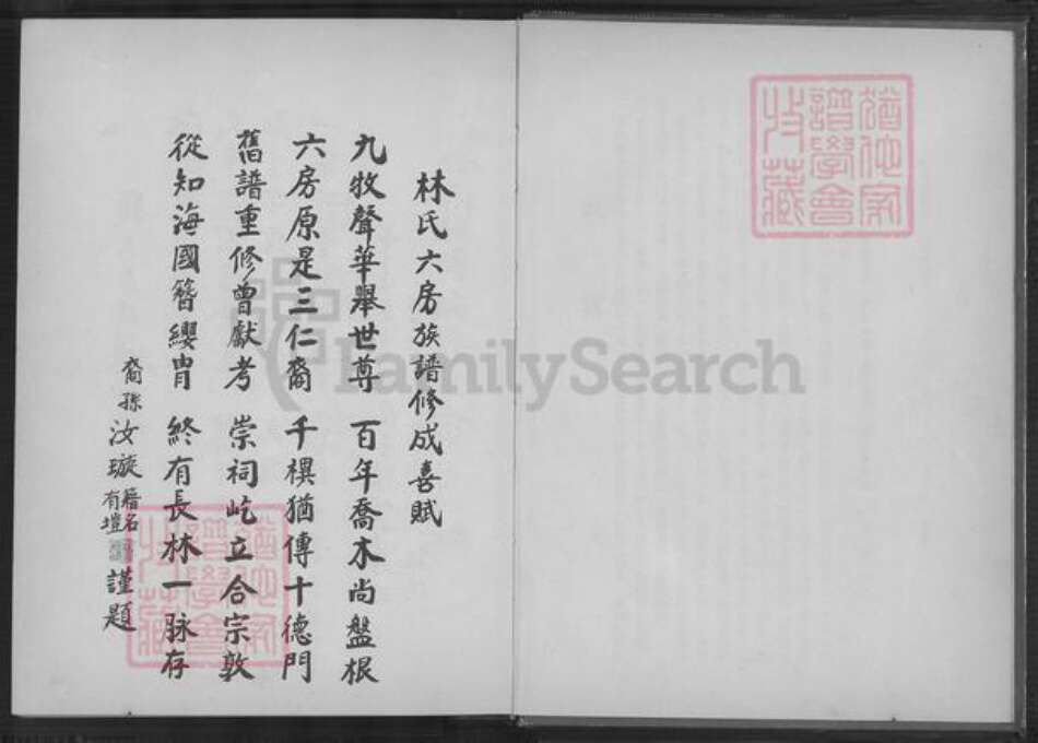 福建省漳州市南靖县林氏族谱-林氏族谱.pdf电子版预览图3