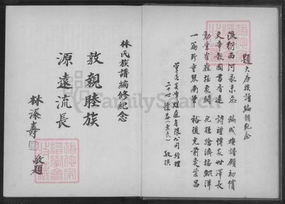 福建省漳州市南靖县林氏族谱-林氏族谱.pdf电子版预览图4