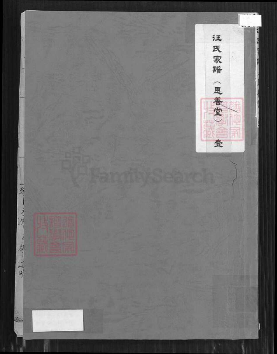 河南省濮阳市华龙区汪氏思善堂族谱-汪氏家谱.pdf电子版缩略图