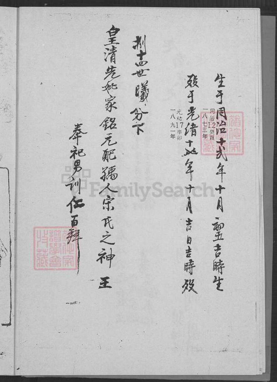 河南省濮阳市华龙区汪氏思善堂族谱-汪氏家谱.pdf电子版预览图5