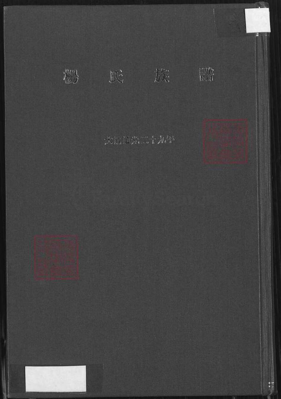 福建省泉州市安溪县官桥镇杨氏族谱-杨氏族谱.pdf电子版缩略图