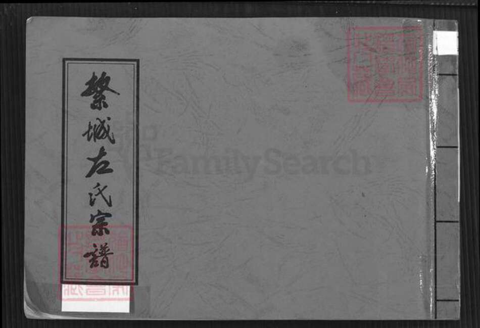 山西省忻州市繁峙县繁城镇河南省漯河市临颍县左氏族谱-繁城左氏宗谱.pdf电子版缩略图