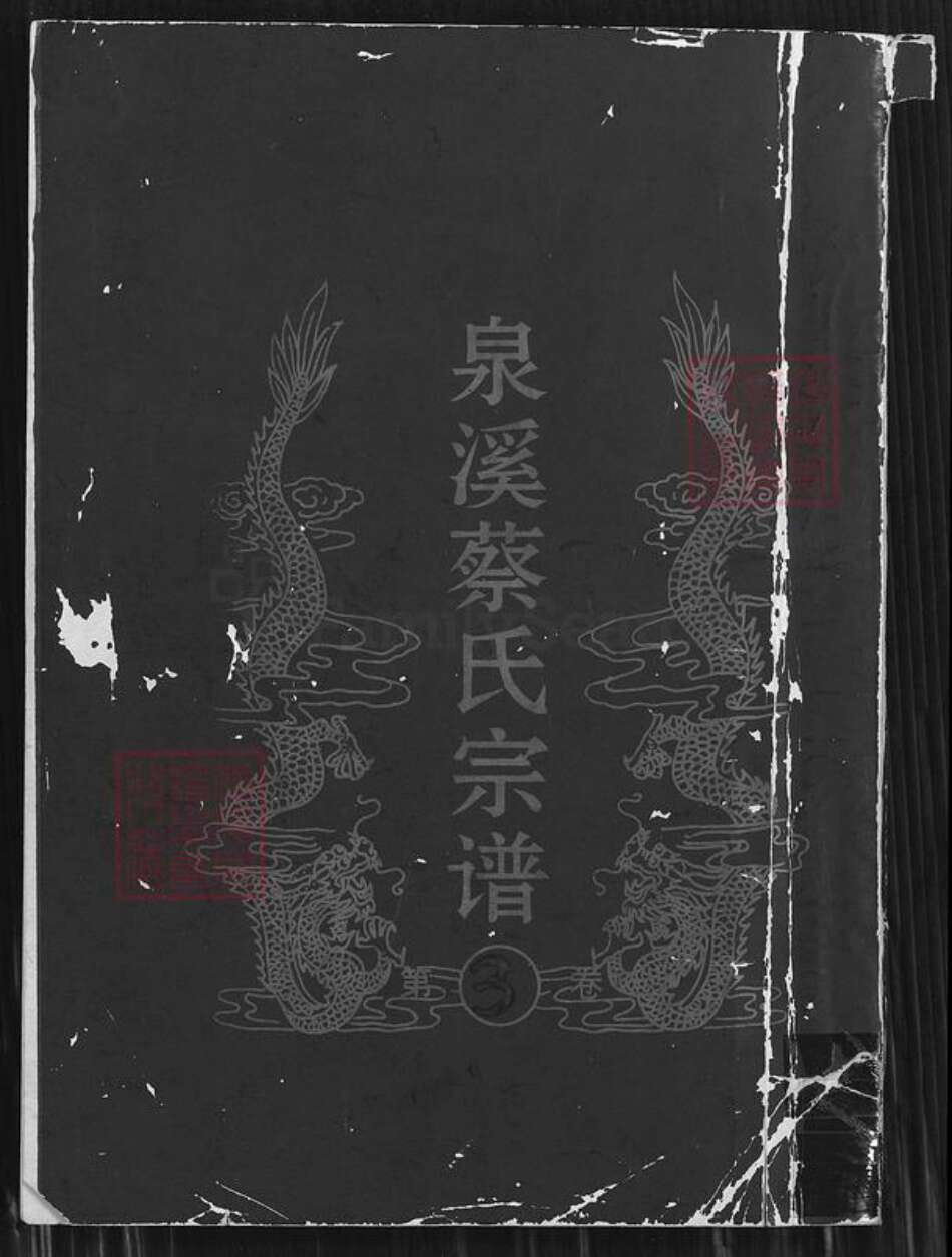 浙江省金华市武义县浙江省金华市武义县泉溪镇蔡氏族谱-泉溪蔡氏宗谱.pdf电子版缩略图
