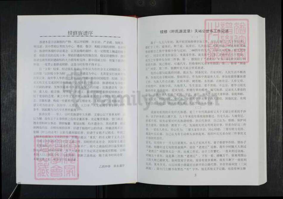 广东省韶关市新丰县叶氏族谱-叶氏源流录 不分卷.pdf电子版预览图4