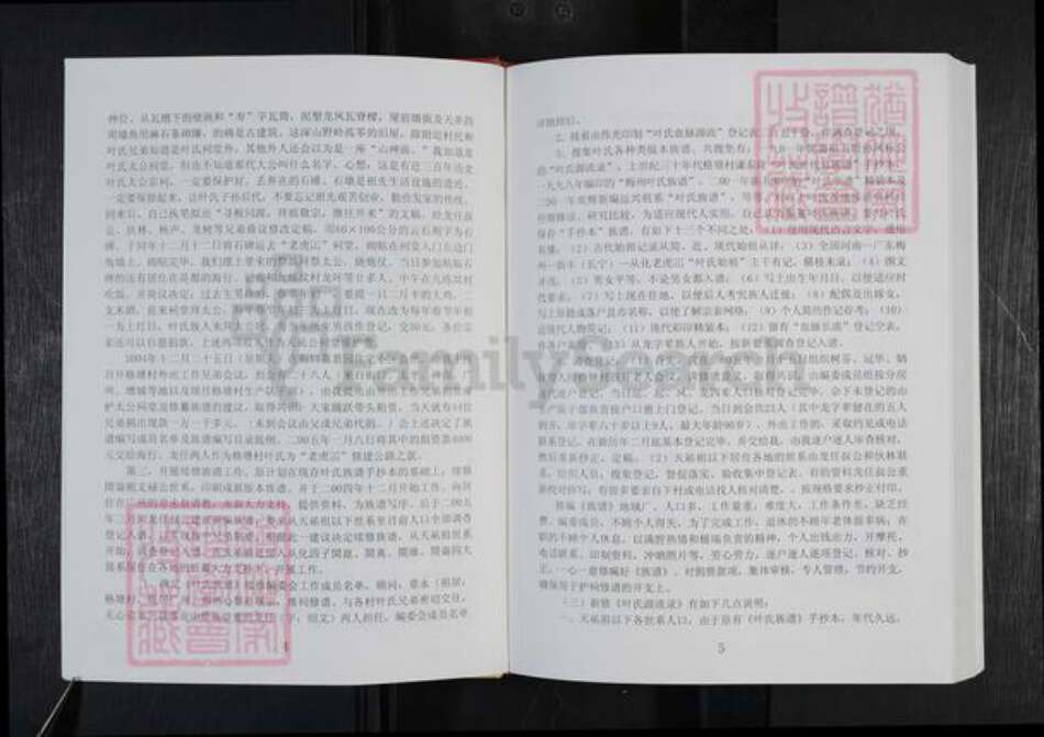 广东省韶关市新丰县叶氏族谱-叶氏源流录 不分卷.pdf电子版预览图5