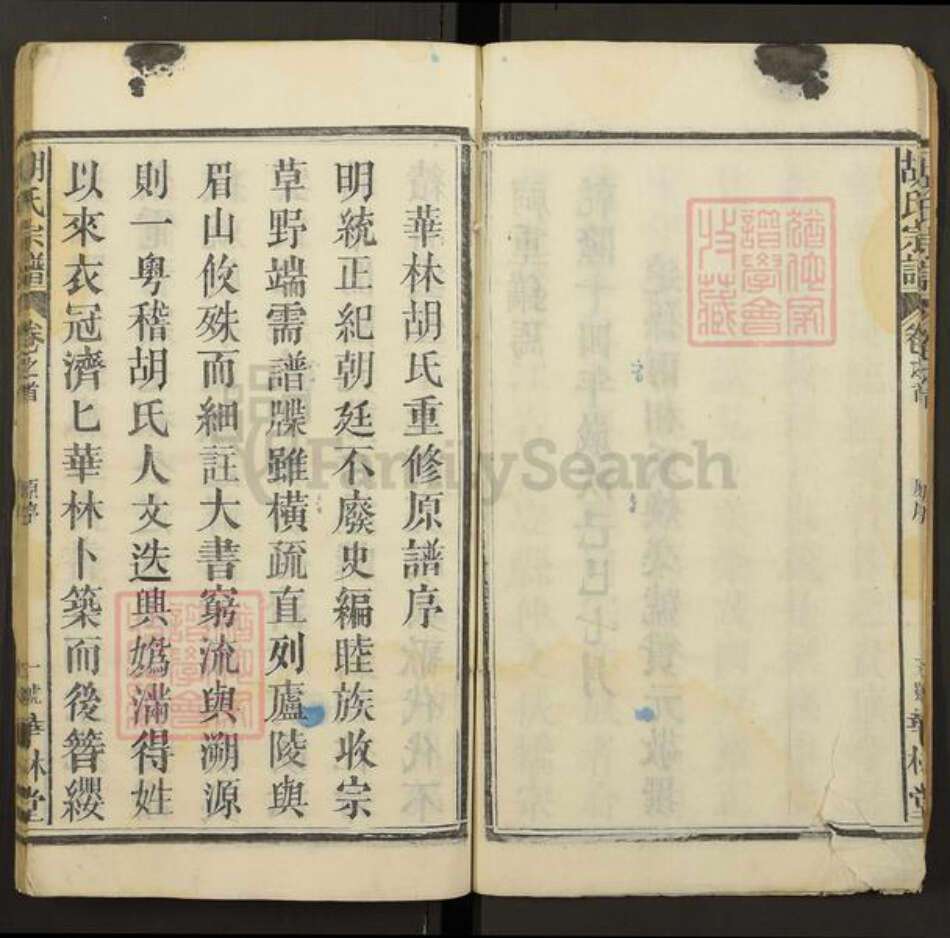 江西省胡氏族谱-胡氏族谱.pdf电子版预览图5