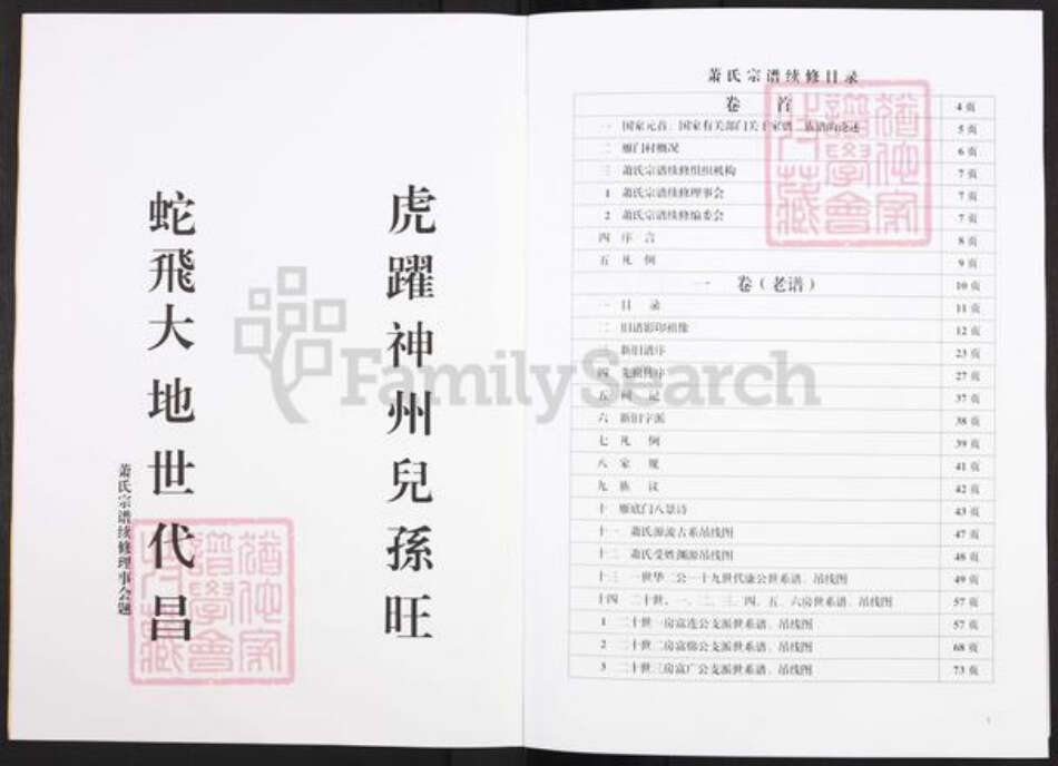 福建省漳州市萧氏族谱-萧氏宗谱.pdf电子版预览图2