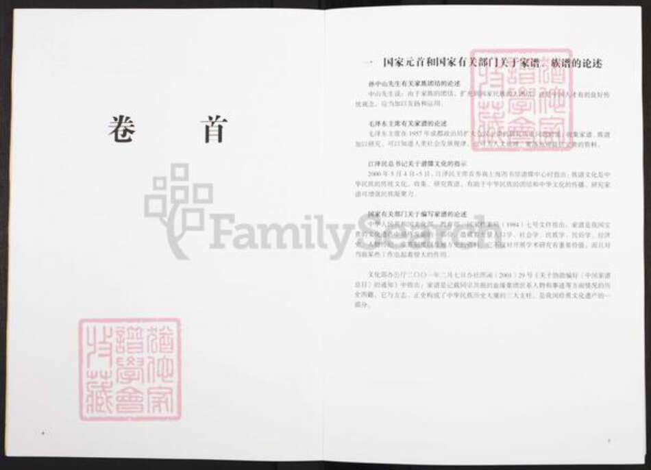 福建省漳州市萧氏族谱-萧氏宗谱.pdf电子版预览图4