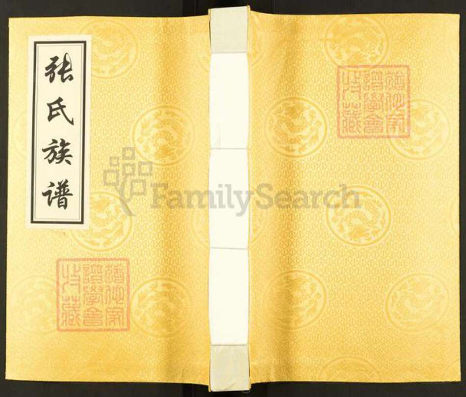 四川省资阳市安岳县四川省资阳市安岳县张；张氏族谱-张氏起蛟公分支族谱.pdf电子版缩略图