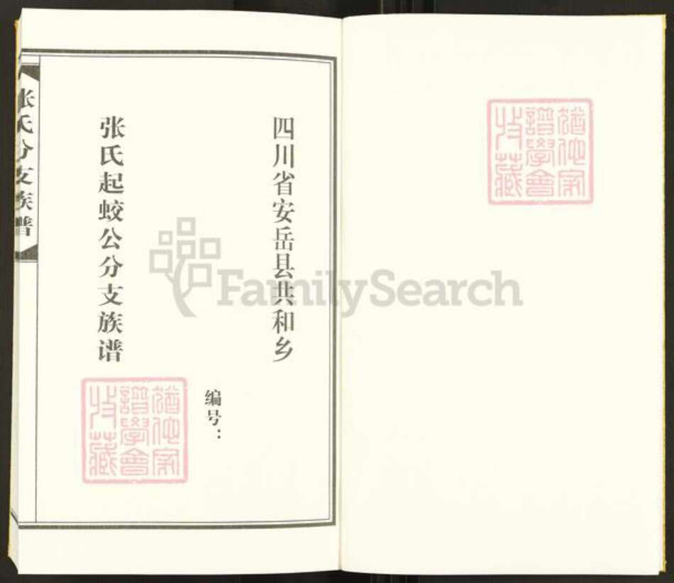 四川省资阳市安岳县四川省资阳市安岳县张；张氏族谱-张氏起蛟公分支族谱.pdf电子版预览图1