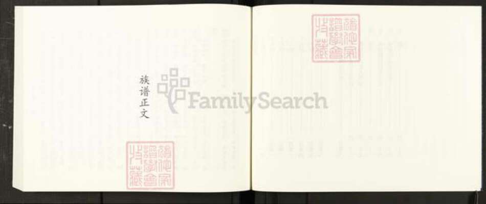 河南省开封市开封孙；孙氏族谱-开封鹅赵孙氏族谱.pdf电子版预览图5