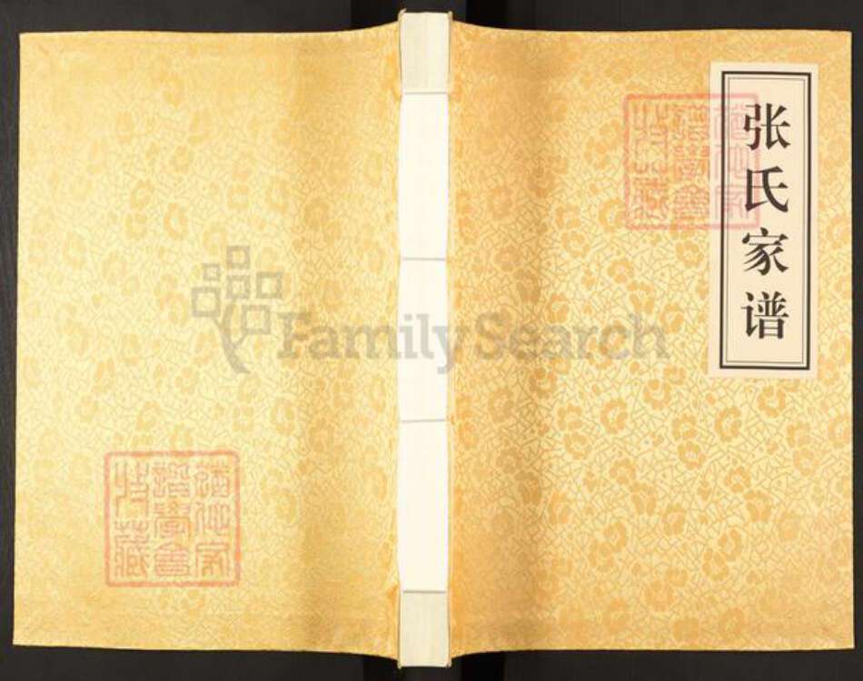 云南省曲靖市马龙区张；张氏孝友堂族谱-张氏家谱.pdf电子版缩略图