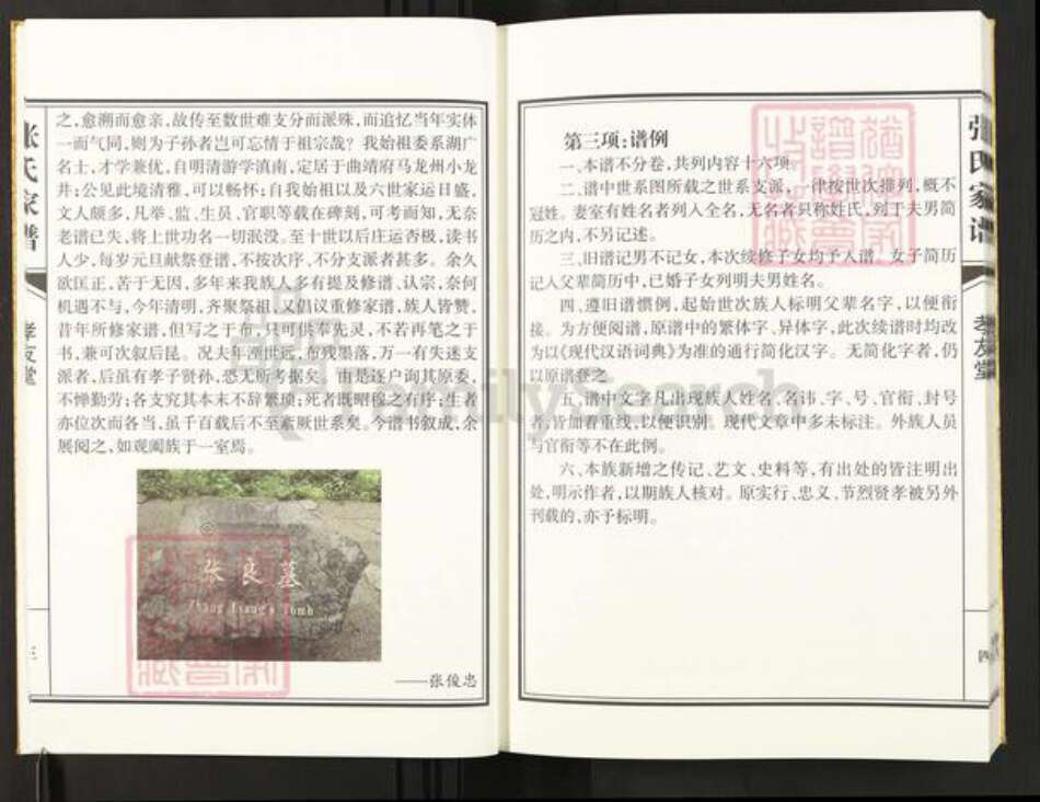 云南省曲靖市马龙区张；张氏孝友堂族谱-张氏家谱.pdf电子版预览图5