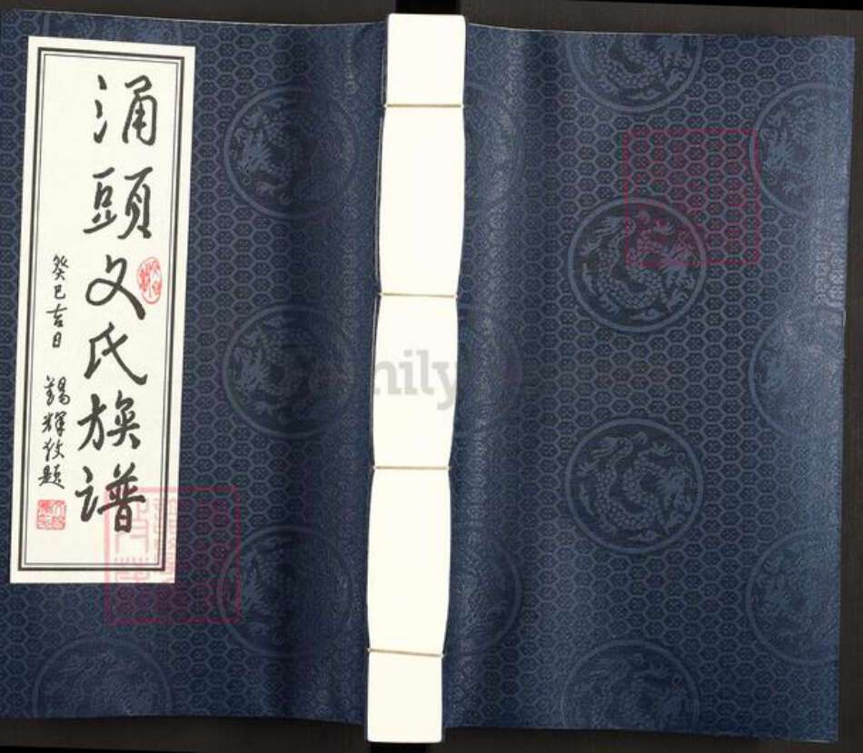 广东省东莞市长安镇文氏族谱-涌头文氏族谱.pdf电子版缩略图