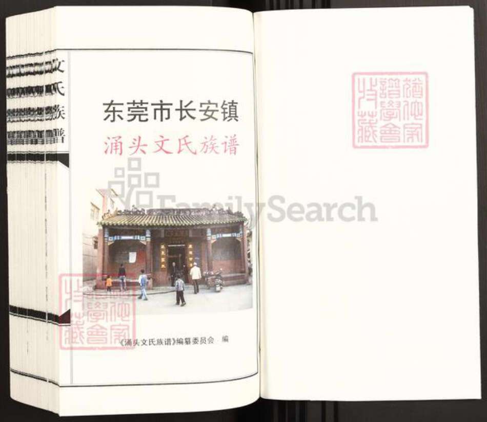 广东省东莞市长安镇文氏族谱-涌头文氏族谱.pdf电子版预览图1