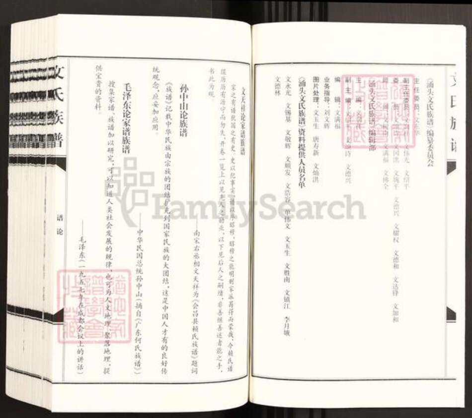 广东省东莞市长安镇文氏族谱-涌头文氏族谱.pdf电子版预览图2