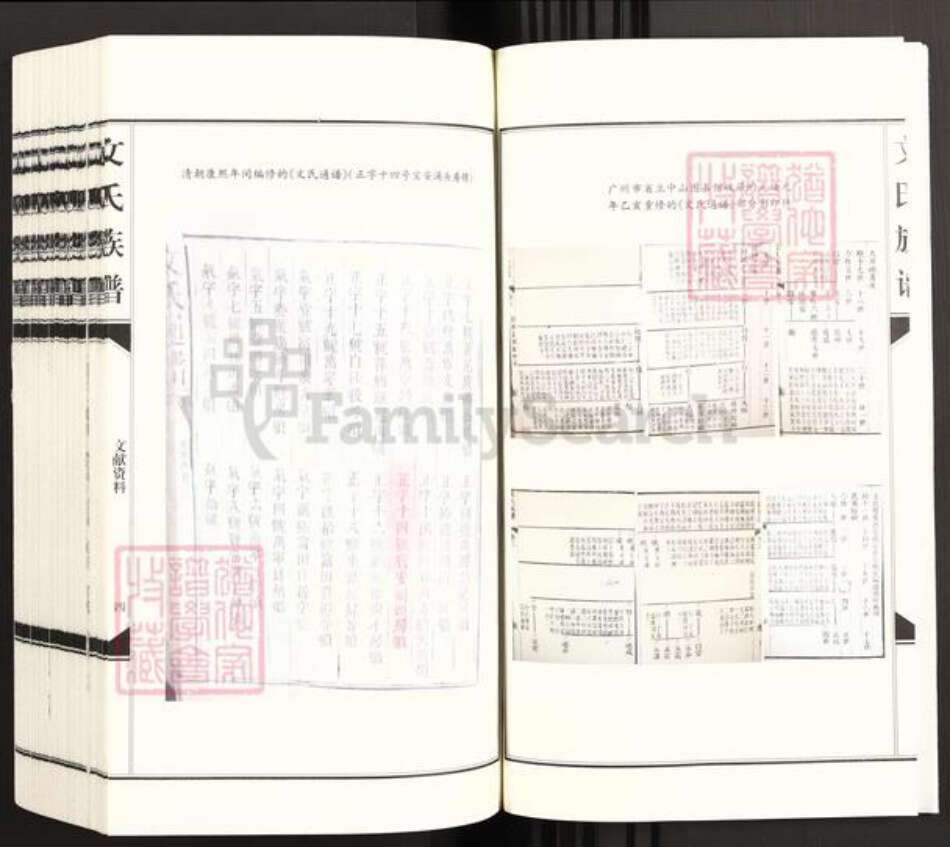 广东省东莞市长安镇文氏族谱-涌头文氏族谱.pdf电子版预览图5