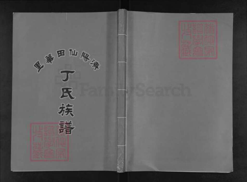 广东省汕头市濠江区丁氏族谱-济阳仙田华里.丁氏族谱.pdf电子版缩略图