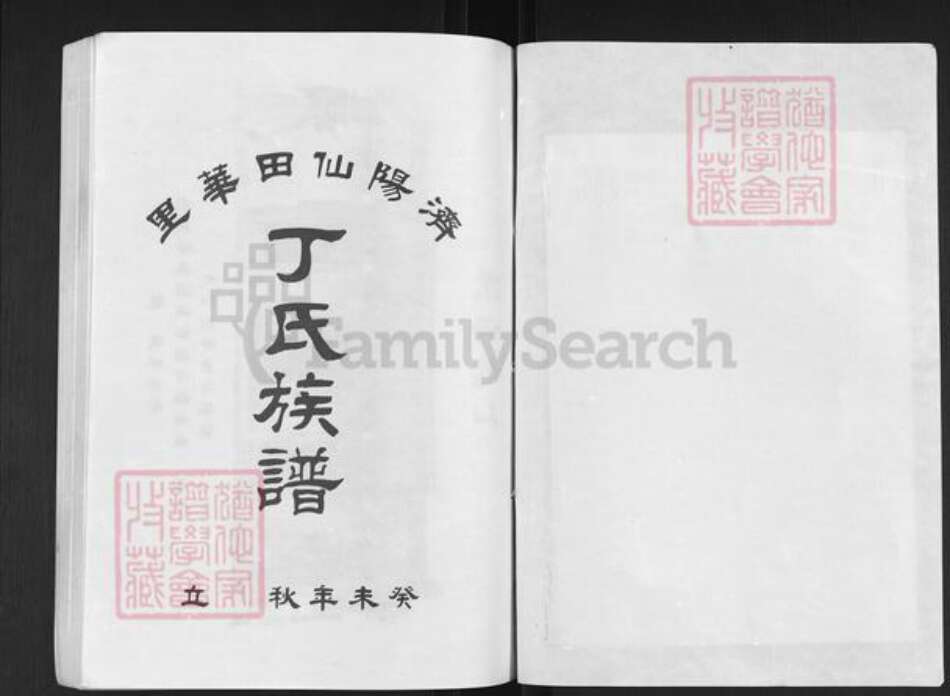 广东省汕头市濠江区丁氏族谱-济阳仙田华里.丁氏族谱.pdf电子版预览图1