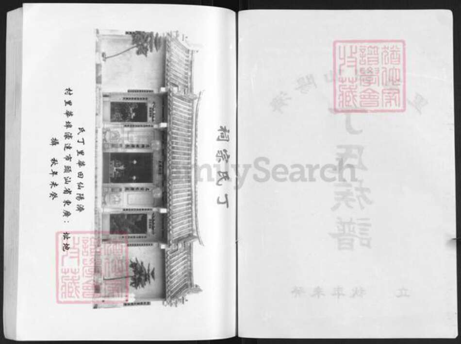 广东省汕头市濠江区丁氏族谱-济阳仙田华里.丁氏族谱.pdf电子版预览图2