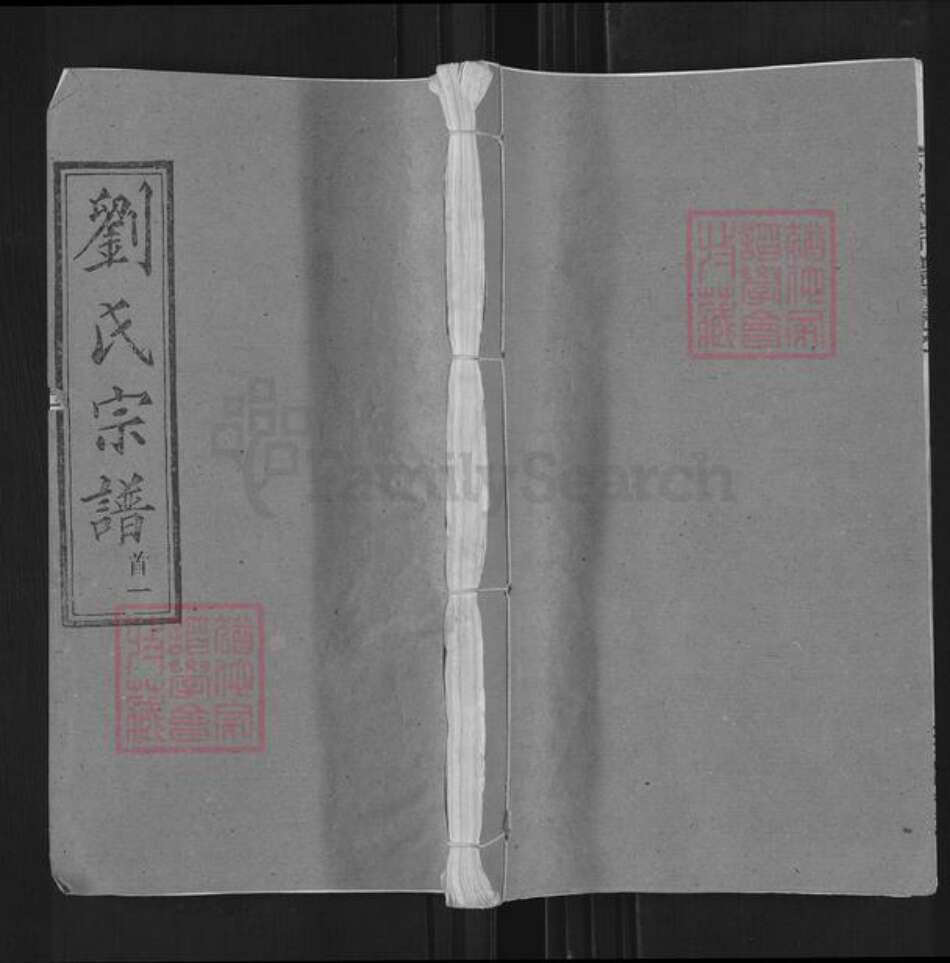 湖北省武汉市新洲区刘氏三祝堂族谱-刘氏宗谱.pdf电子版缩略图