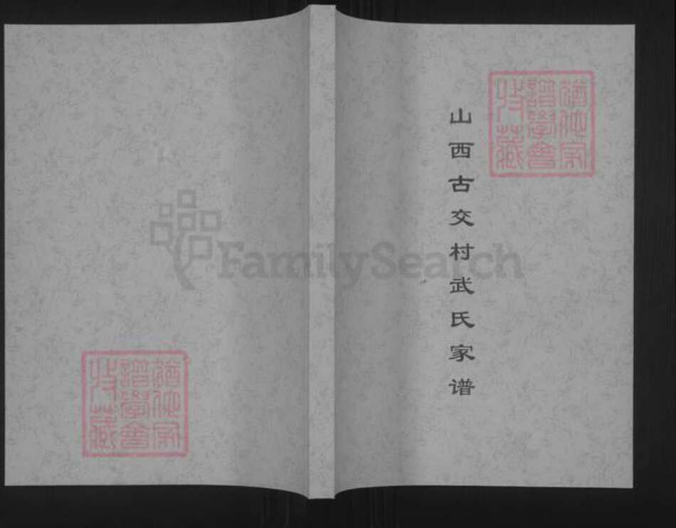 山西省太原市古交市武氏族谱-山西古交村武氏家谱.pdf电子版