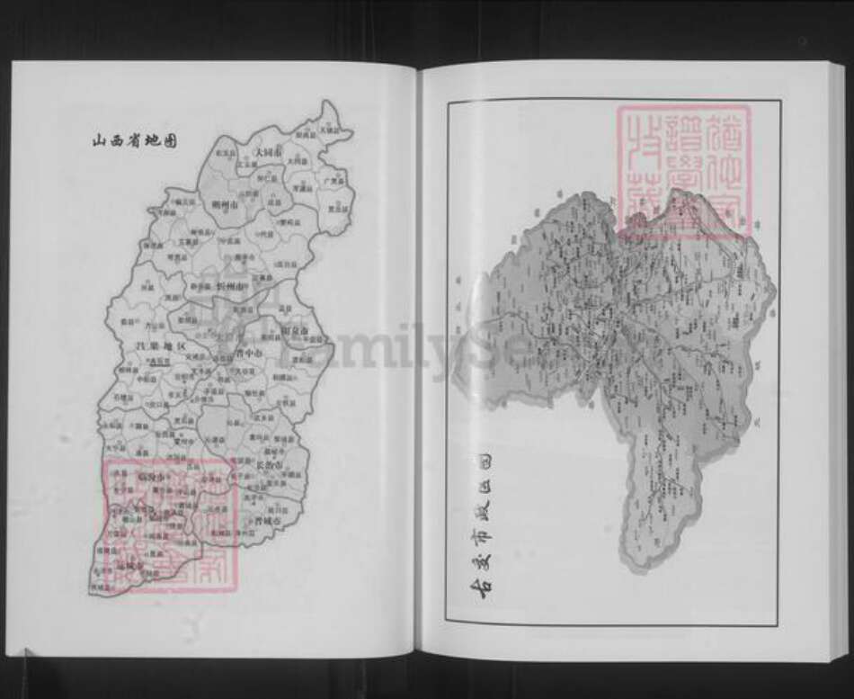 山西省太原市古交市武氏族谱-山西古交村武氏家谱.pdf电子版预览图3
