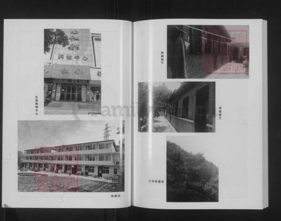 山西省太原市古交市武氏族谱-山西古交村武氏家谱.pdf电子版预览图4