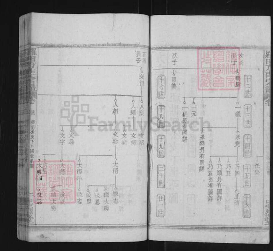 湖北省黄冈市罗田县方氏忠烈堂族谱-罗田方匡宗谱.pdf电子版预览图2