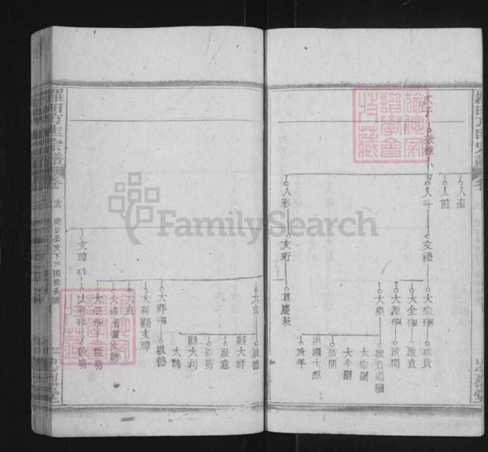 湖北省黄冈市罗田县方氏忠烈堂族谱-罗田方匡宗谱.pdf电子版预览图3
