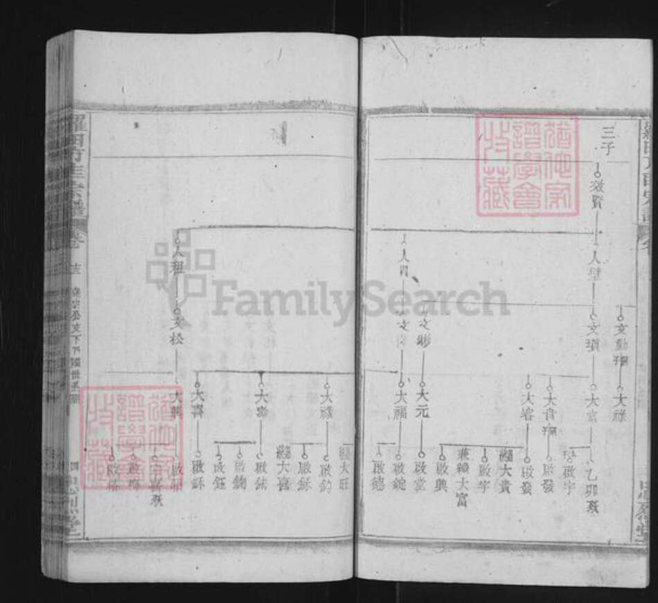 湖北省黄冈市罗田县方氏忠烈堂族谱-罗田方匡宗谱.pdf电子版预览图4