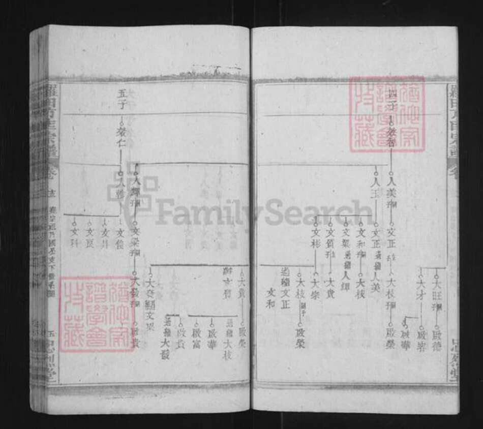 湖北省黄冈市罗田县方氏忠烈堂族谱-罗田方匡宗谱.pdf电子版预览图5