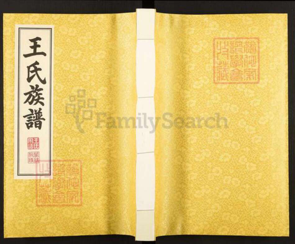 山东省青岛市城阳区城阳街道王氏五福堂族谱-王氏族谱.pdf电子版缩略图