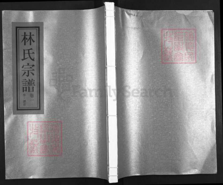 浙江省温州市平阳县浙江省温州市平阳县林氏族谱-济南郡林氏宗谱.pdf电子版缩略图