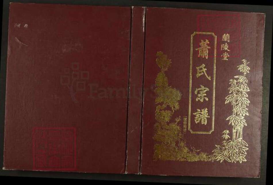 江苏省盐城市建湖县萧氏兰陵堂族谱-萧氏宗谱.pdf电子版缩略图
