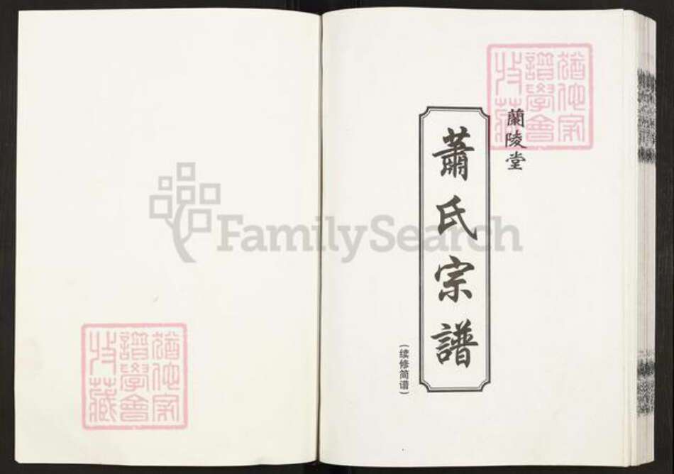 江苏省盐城市建湖县萧氏兰陵堂族谱-萧氏宗谱.pdf电子版预览图1