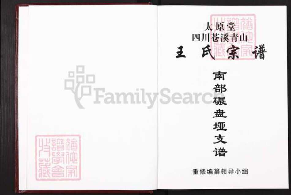 四川省南充市南部县雄狮乡王氏太原堂族谱-王氏宗谱.南部碾盘垭支谱.pdf电子版预览图1