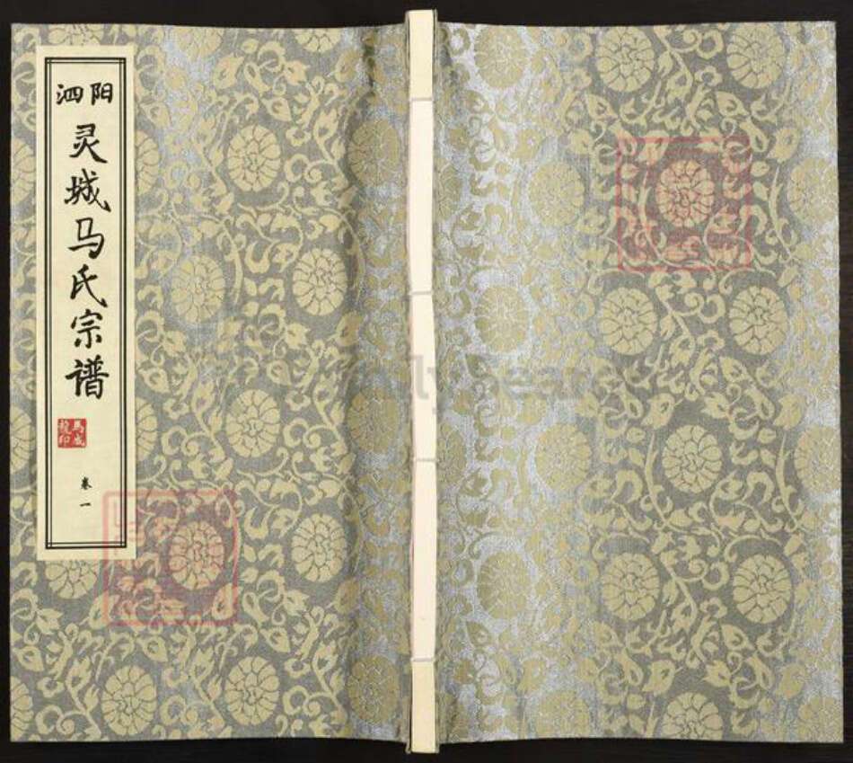 江苏省宿迁市泗阳县新袁镇湖南省常德市桃源县马；马氏伏波堂族谱-泗阳灵城马氏宗谱.pdf电子版缩略图