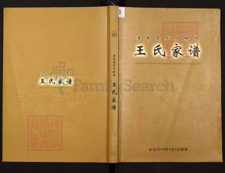 重庆市潼南区王氏三槐堂族谱-王氏家谱.pdf电子版缩略图