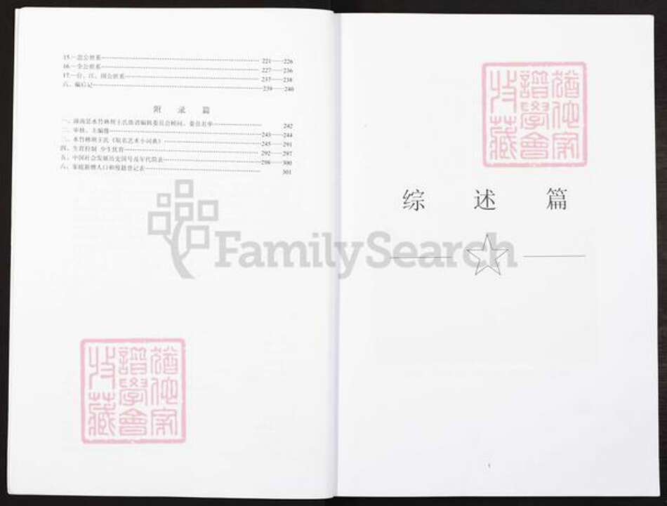 重庆市潼南区王氏三槐堂族谱-王氏家谱.pdf电子版预览图3