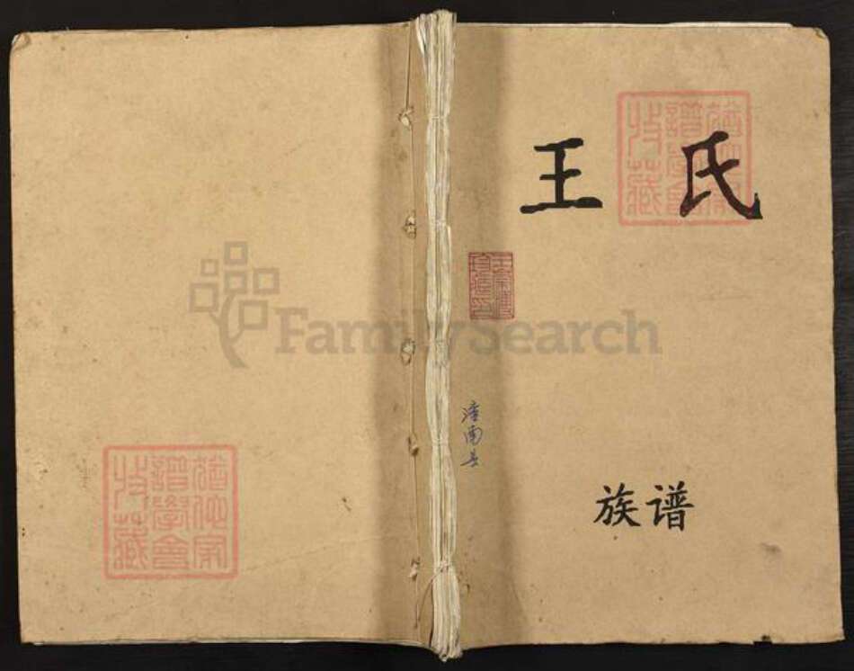 四川省遂宁市射洪市沱牌镇王氏族谱-王氏族谱.pdf电子版缩略图