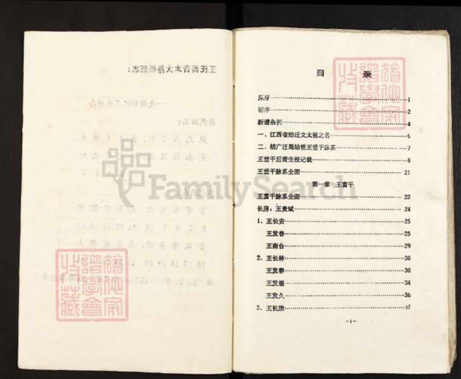 四川省遂宁市射洪市沱牌镇王氏族谱-王氏族谱.pdf电子版预览图4